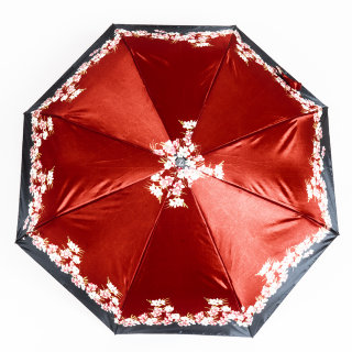 Зонт женский Zemsa, 112142 красный